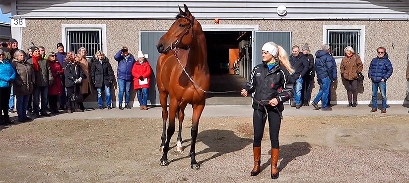 stallrunda top Skånska Fältrittklubben
