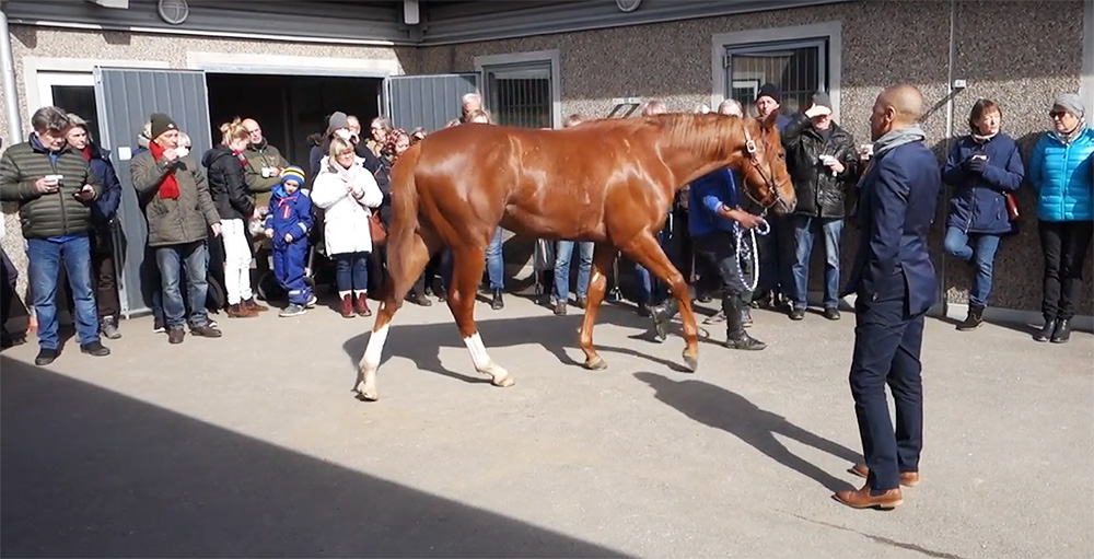 stallrunda 1 sfk Skånska Fältrittklubben