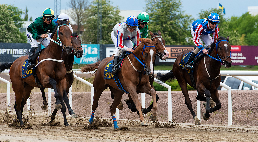 galopp jg 837 Skånska Fältrittklubben